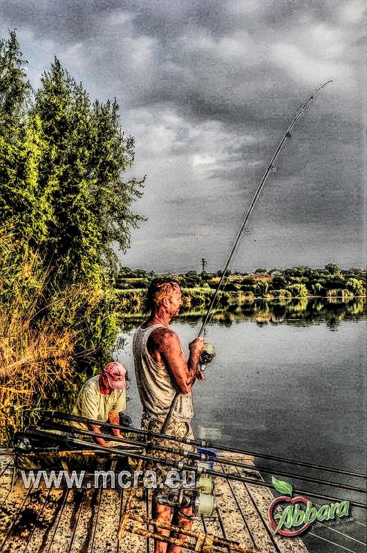 MeetCarp Romanian Awards 2013 - 1000008hdrmode2.jpg